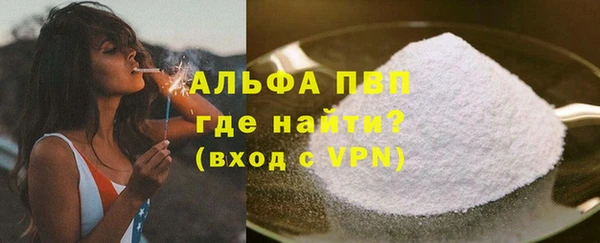 шишки Инта