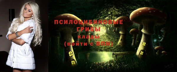 а пвп мука Карпинск