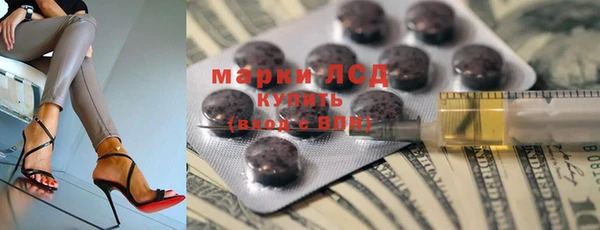 прущий лед Инсар