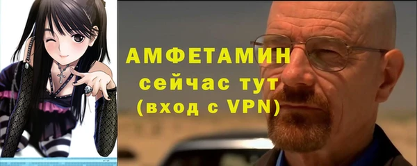 шишки Инта