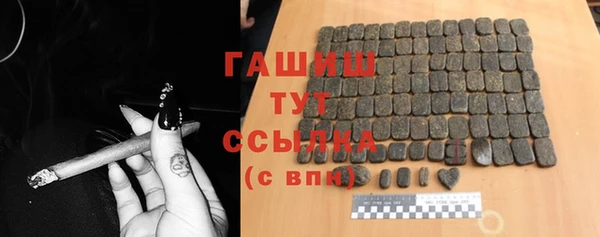шишки Инта