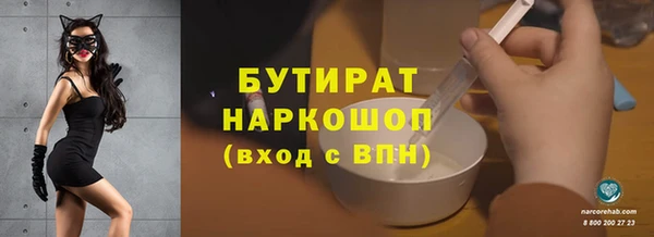 шишки Инта