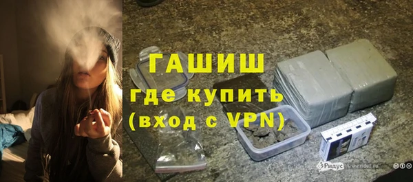 шишки Инта