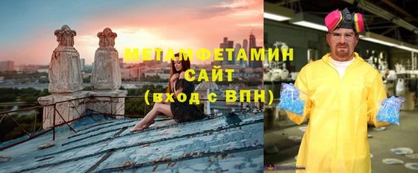 шишки Инта
