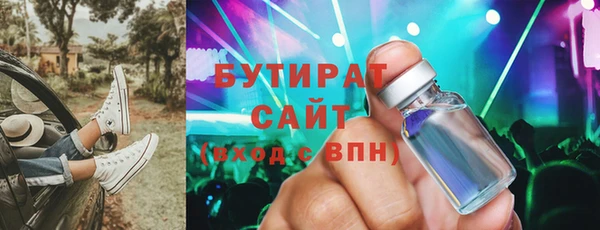 шишки Инта