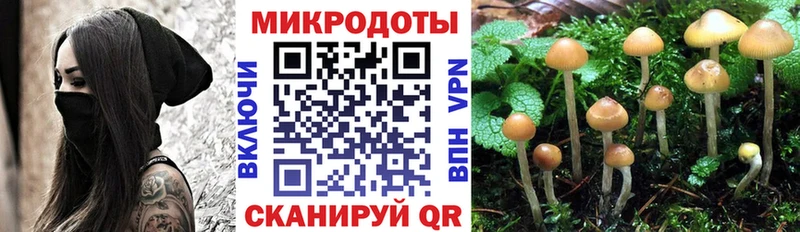 Псилоцибиновые грибы Psilocybe  хочу наркоту  Лысково 